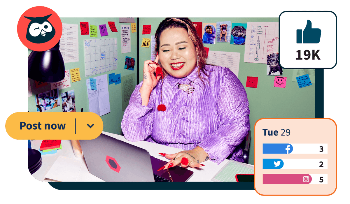 a women with purple searching on the laptop