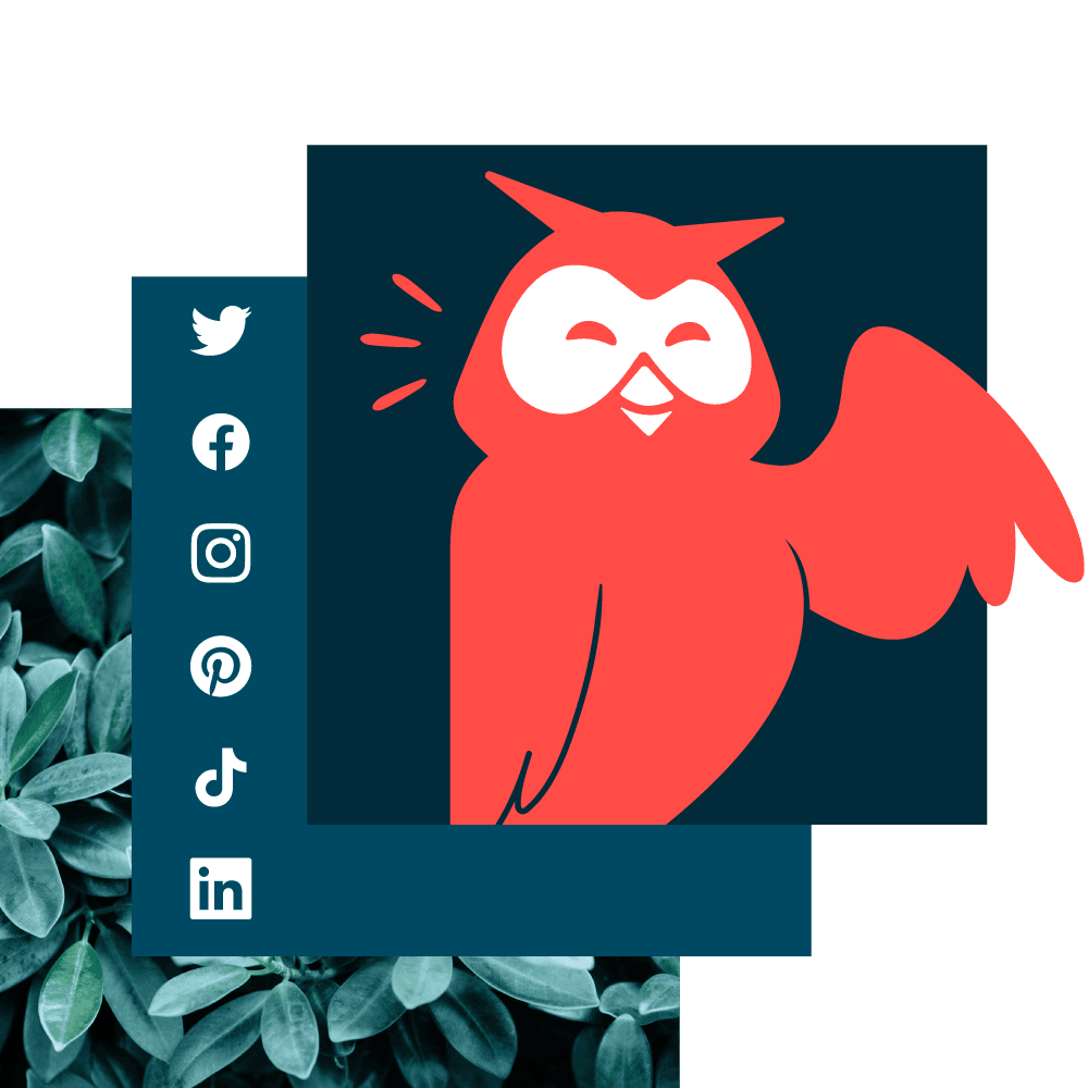 Owly-Bannerbild