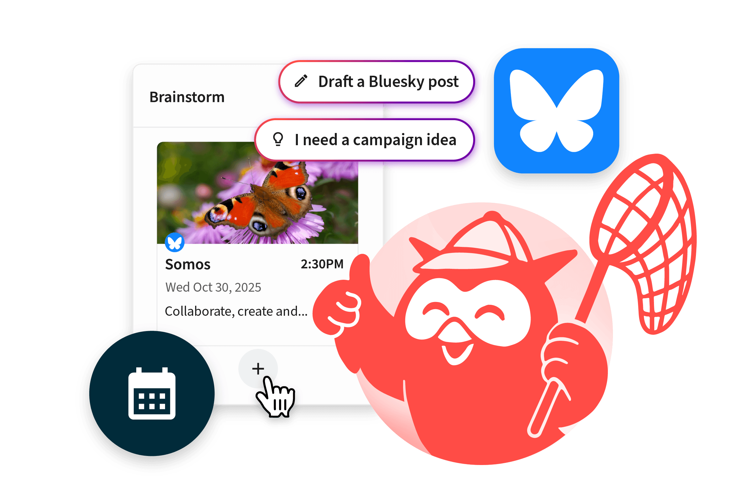 Calendar interface showing social media post options with butterfly imagery and pink-coral gradient background elements