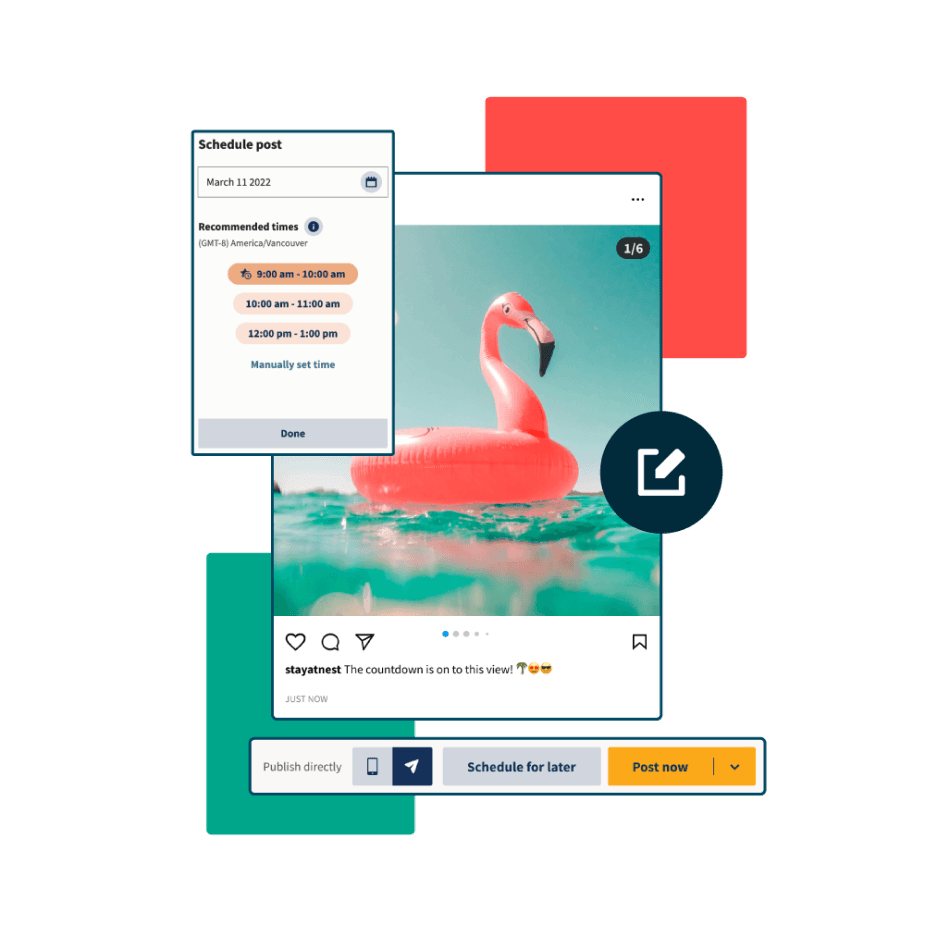Flamingo-Bild